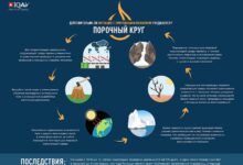 Photo of Понимание природы чарджбэков и их причины