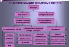 Photo of Финансовые потери и их масштаб