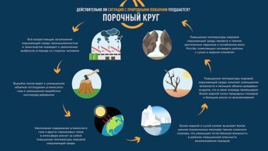 Photo of Понимание природы чарджбэков и их причины