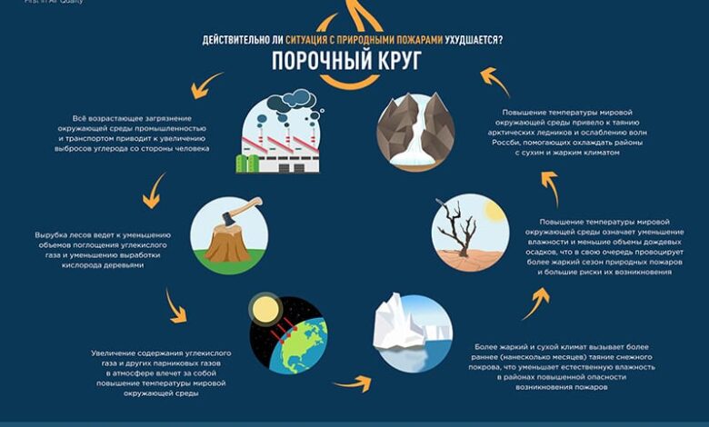Photo of Понимание природы чарджбэков и их причины