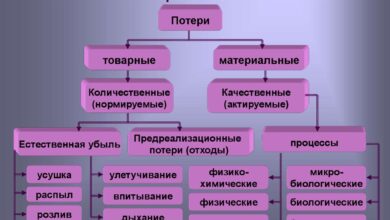 Photo of Финансовые потери и их масштаб