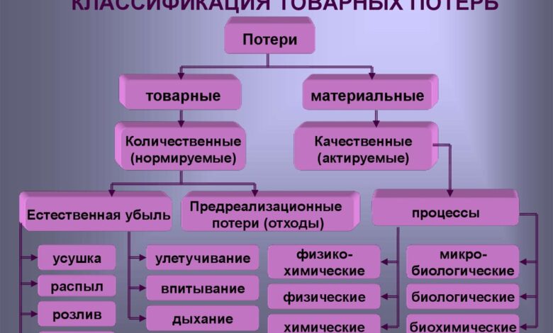 Photo of Финансовые потери и их масштаб